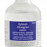 Xylavet 20 mg_ml_50ml#14C58
