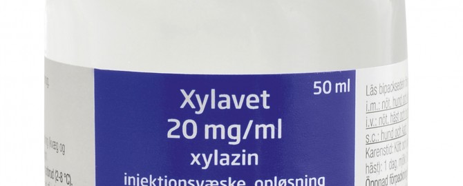 Xylavet 20 mg_ml_50ml#14C58